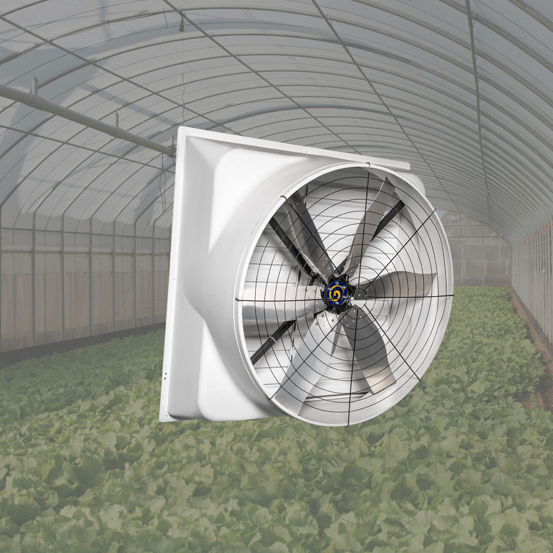 مروحة الدواجن القوية 850w مدخل الطاقة سرعة الهواء المسمار إلى الإطار على الحائط