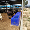متين 4m خزان مياه الماشية 260 لتر LLDPE حوض مياه حيواني