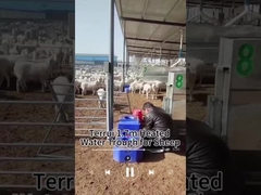 الحفاظ على الحرارة خزان المياه للحيوانات الأليفة لتوفير المياه الموثوق به سعة 200 كجم