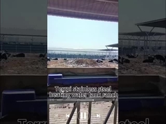 وضع التحكم في درجة الحرارة 15-40C حوض شرب الأبقار مع 3 مجموعات من أقراص التدفئة 220V300W