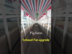 حجم المروحة الصناعية للنفايات 72 بوصة قطر الشفرة IP55 درجة الحماية