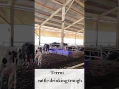 مصفف المياه الآلي للماشية من LLDPE مع 3 مجموعات من أقراص التسخين 220V300W للمواشي