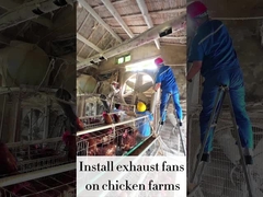 السرعة المتغيرة 120 سم المطهرة مروحة العادم 56.4m3/h حجم الهواء 48000m3/h سعة تدفق الهواء