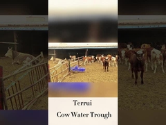 المياه الآلية للحيوانات الحيوانية مع ارتفاع شرب 250 مم مع معدل تدفق LLDPE