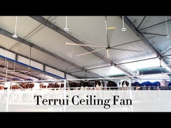 9.53m3/min تدفق الهواء مروحة السقف الصناعية 14300 m3/min أقصى إنتاج