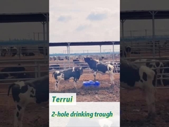 85 لتر سعة البولي إيثيلين الثقيل خزان المياه للحيوانات الحيوانية مع معدل التدفق