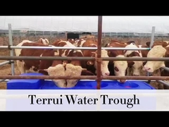 85 لتر زجاجية أزرق ثقيلة مع 3/4 خرطوم