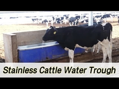 2 مجموعات 1800W تسخين قابلة للتعديل الماشية السيارات سقي مع معدل التدفق من 100-120L / min