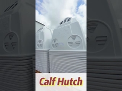 عشرات إلى مئات الكيلوغرامات من الحليب الأبيض