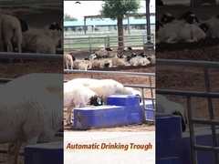 120 لتر/دقيقة معدل التدفق حوض شرب الأبقار 150 لتر قدرة الإنتاج الزراعي