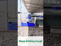 60 لتر سعة الحوض شرب البقر 170 * 48 * 46 سم مثالية للقطعان الكبيرة