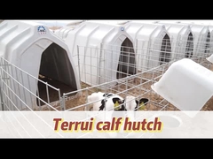 بيت العجل المتنفّس للعجل