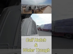 220*145*145 سم مستطيل حليب العجل لتحسين الصحة والرفاهية