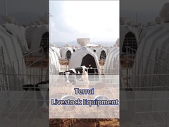 الحيوانات البيضاء من البولي إيثيلين الحليب