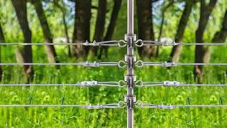 تأمين الماشية الخاصة بك: كيفية تثبيت عوازل T-Post على السياج الكهربائي