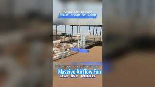 حوض مياه ساخن للماشية بطول 1.7 متر مصنوع من غلاف بلاستيكي متين لتحمل الظروف الباردة الشديدة